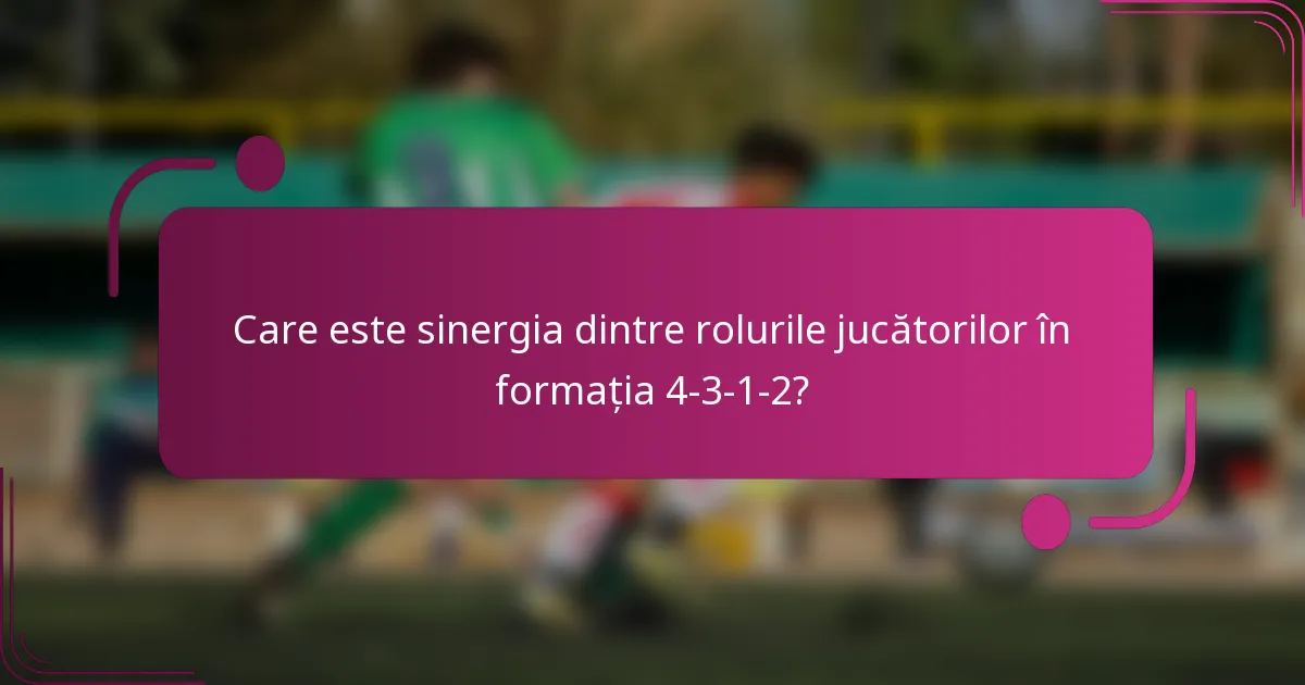 Care este sinergia dintre rolurile jucătorilor în formația 4-3-1-2?