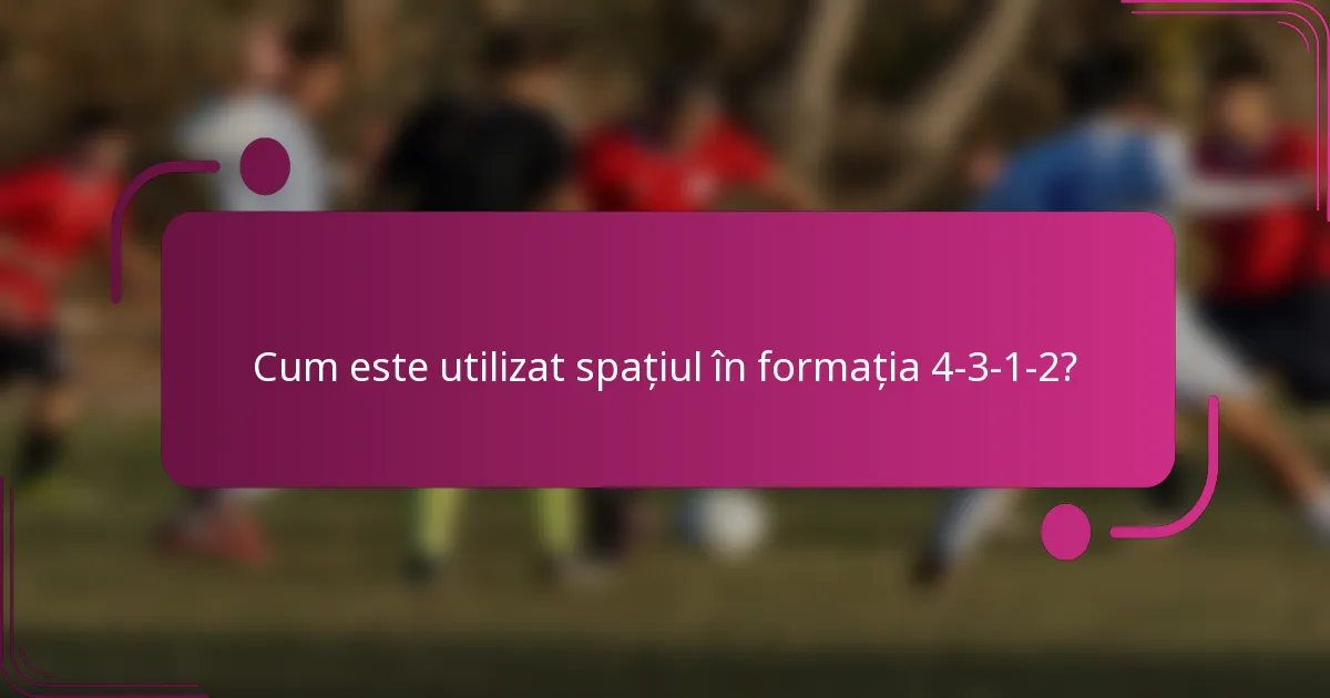 Cum este utilizat spațiul în formația 4-3-1-2?